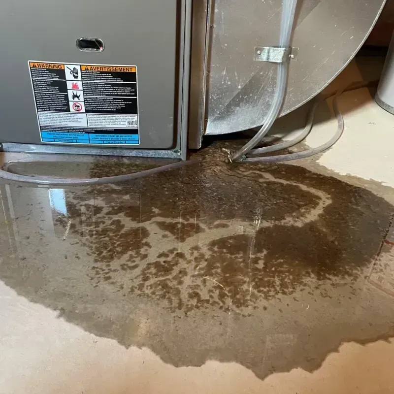 Appliance Leak Cleanup in West Linn, OR